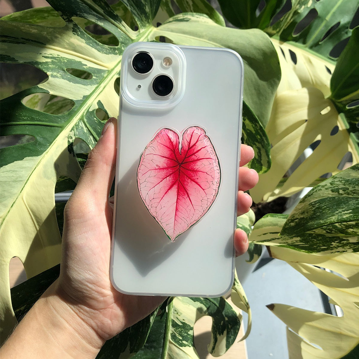 Support Téléphone Feuille Tropicale – Acrylique PMMA, Rotatif, Coussinet Adhésif, 8 Coloris