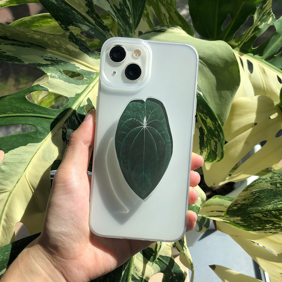Support Téléphone Feuille Tropicale – Acrylique PMMA, Rotatif, Coussinet Adhésif, 8 Coloris