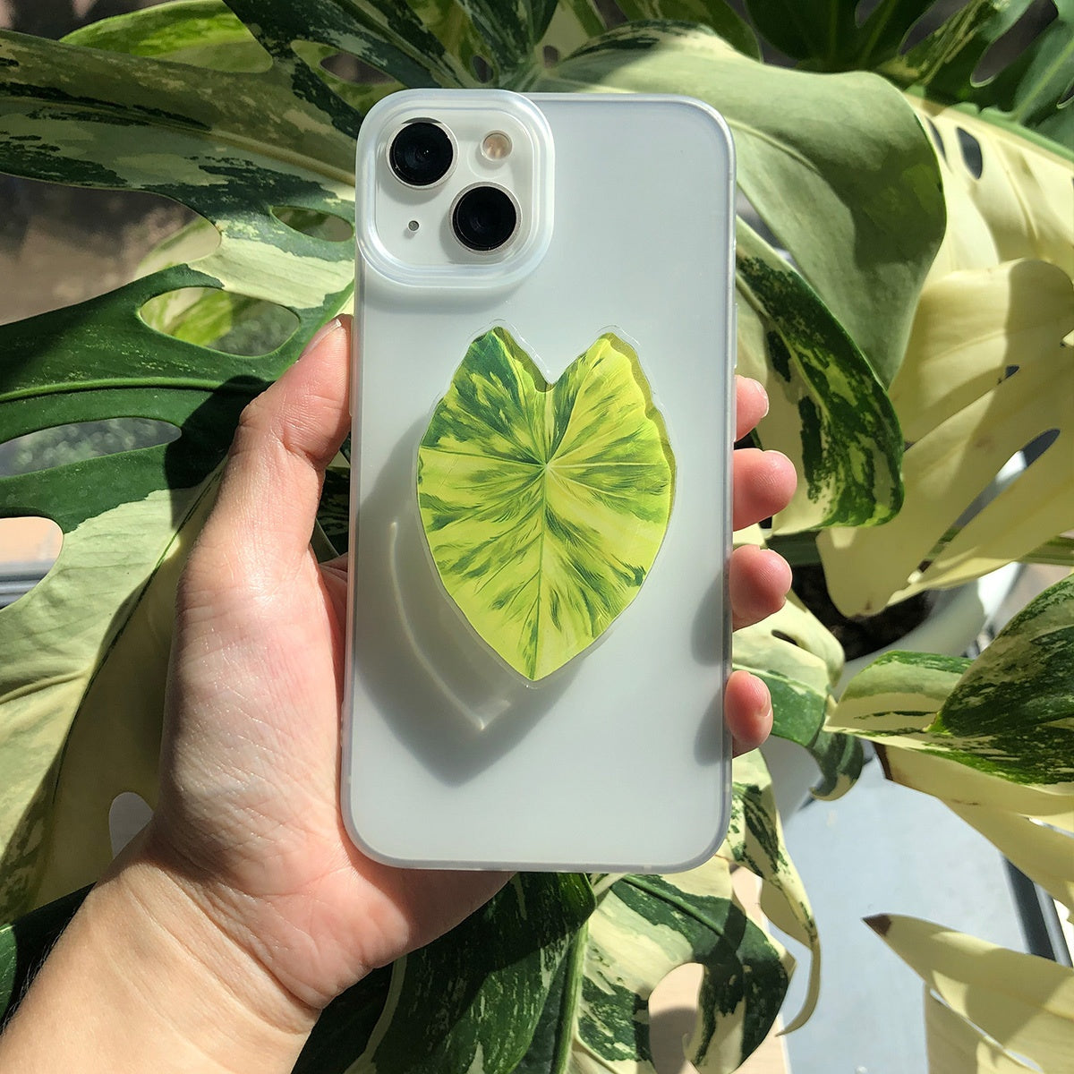 Support Téléphone Feuille Tropicale – Acrylique PMMA, Rotatif, Coussinet Adhésif, 8 Coloris