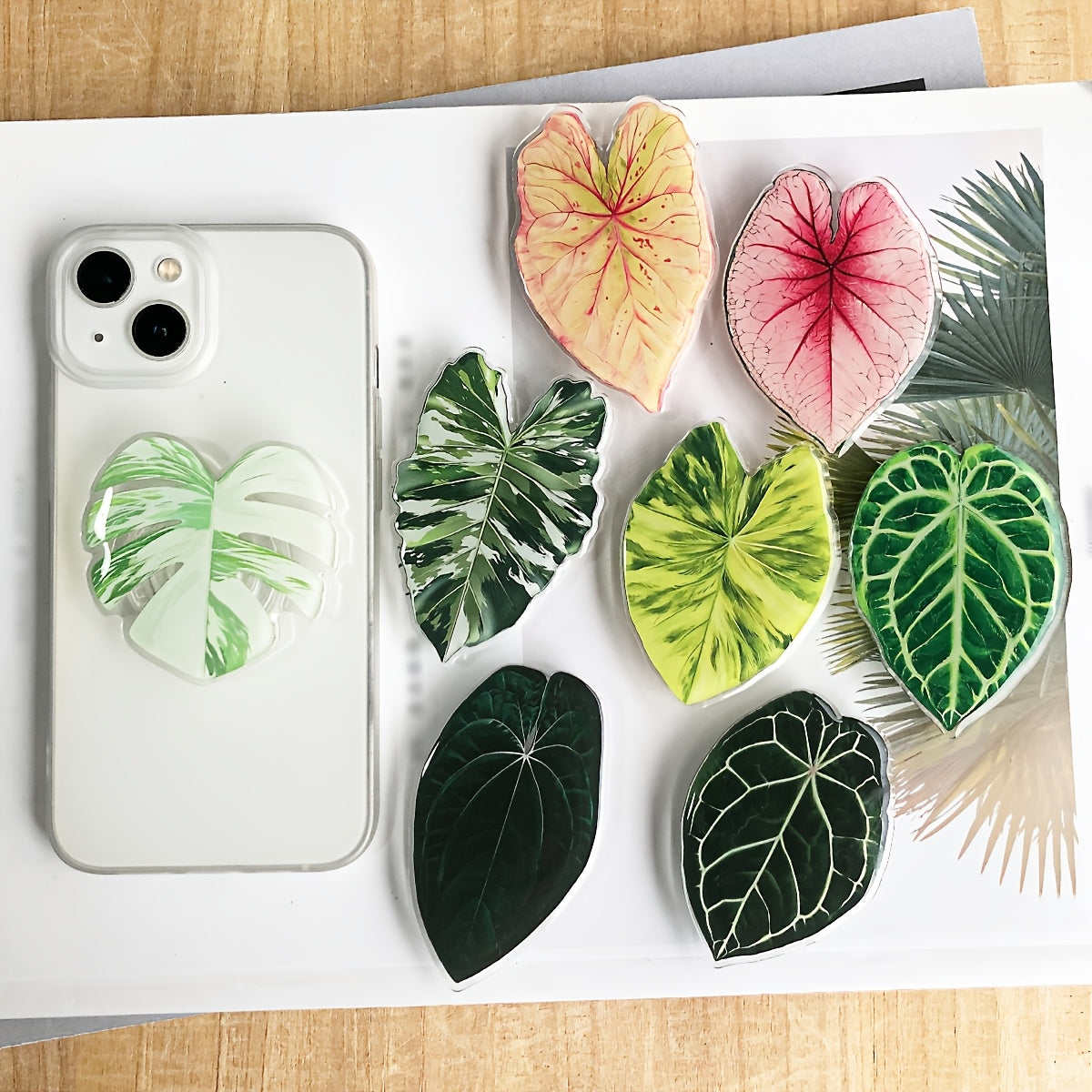 Support Téléphone Feuille Tropicale – Acrylique PMMA, Rotatif, Coussinet Adhésif, 8 Coloris