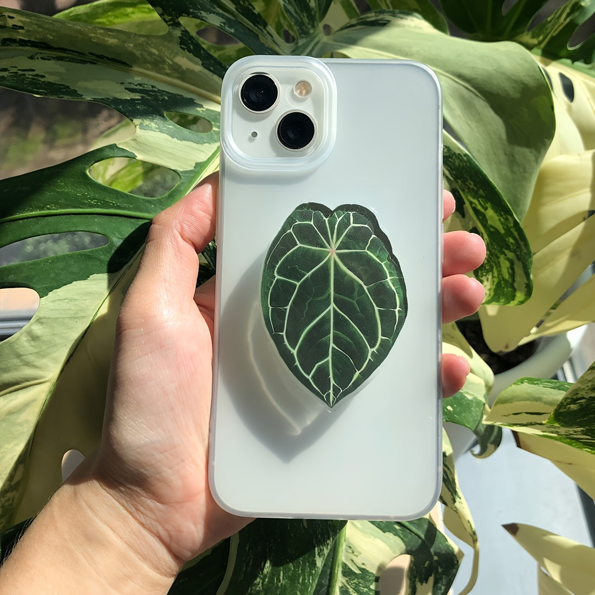 Support Téléphone Feuille Tropicale – Acrylique PMMA, Rotatif, Coussinet Adhésif, 8 Coloris