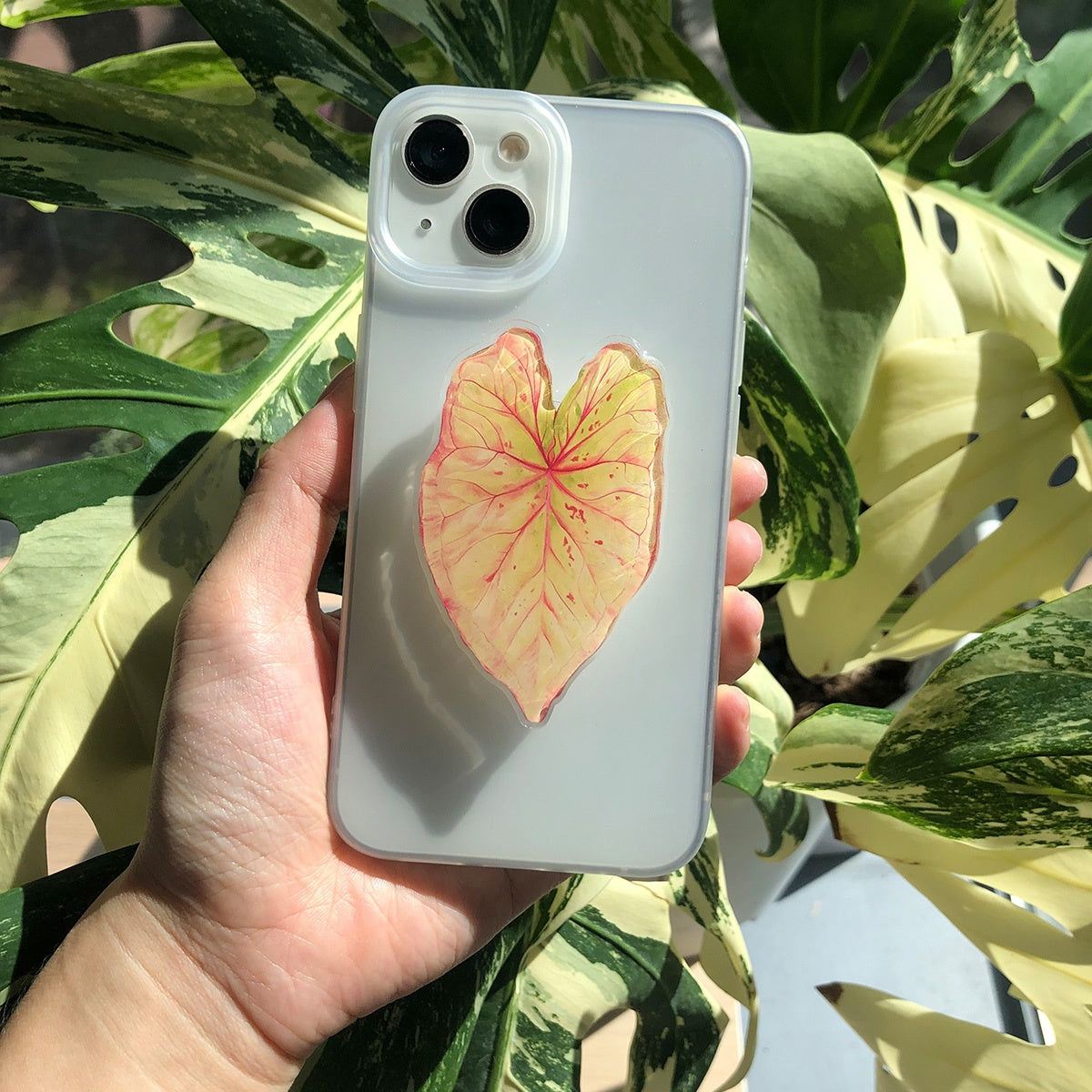 Support Téléphone Feuille Tropicale – Acrylique PMMA, Rotatif, Coussinet Adhésif, 8 Coloris